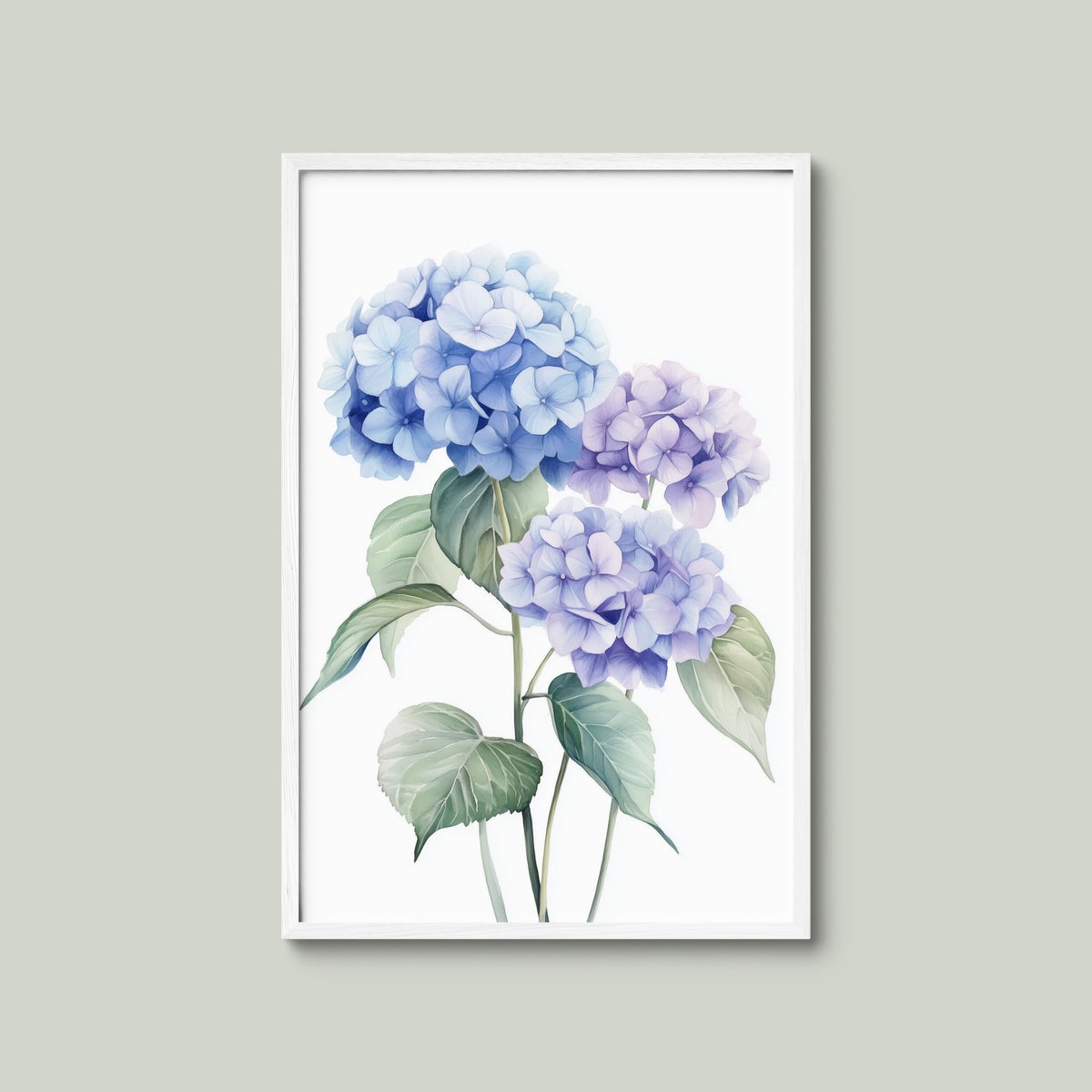 Blue Hydrangea Bloom