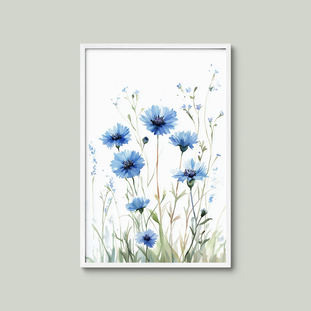Cornflower Meadow