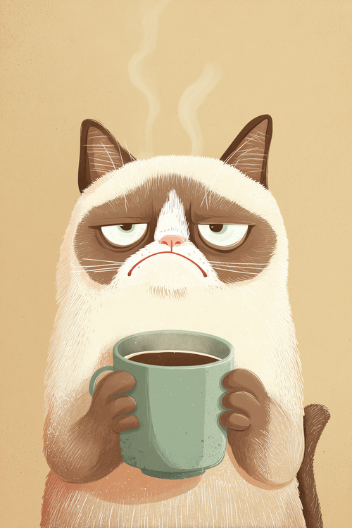 Grumpy Cat
