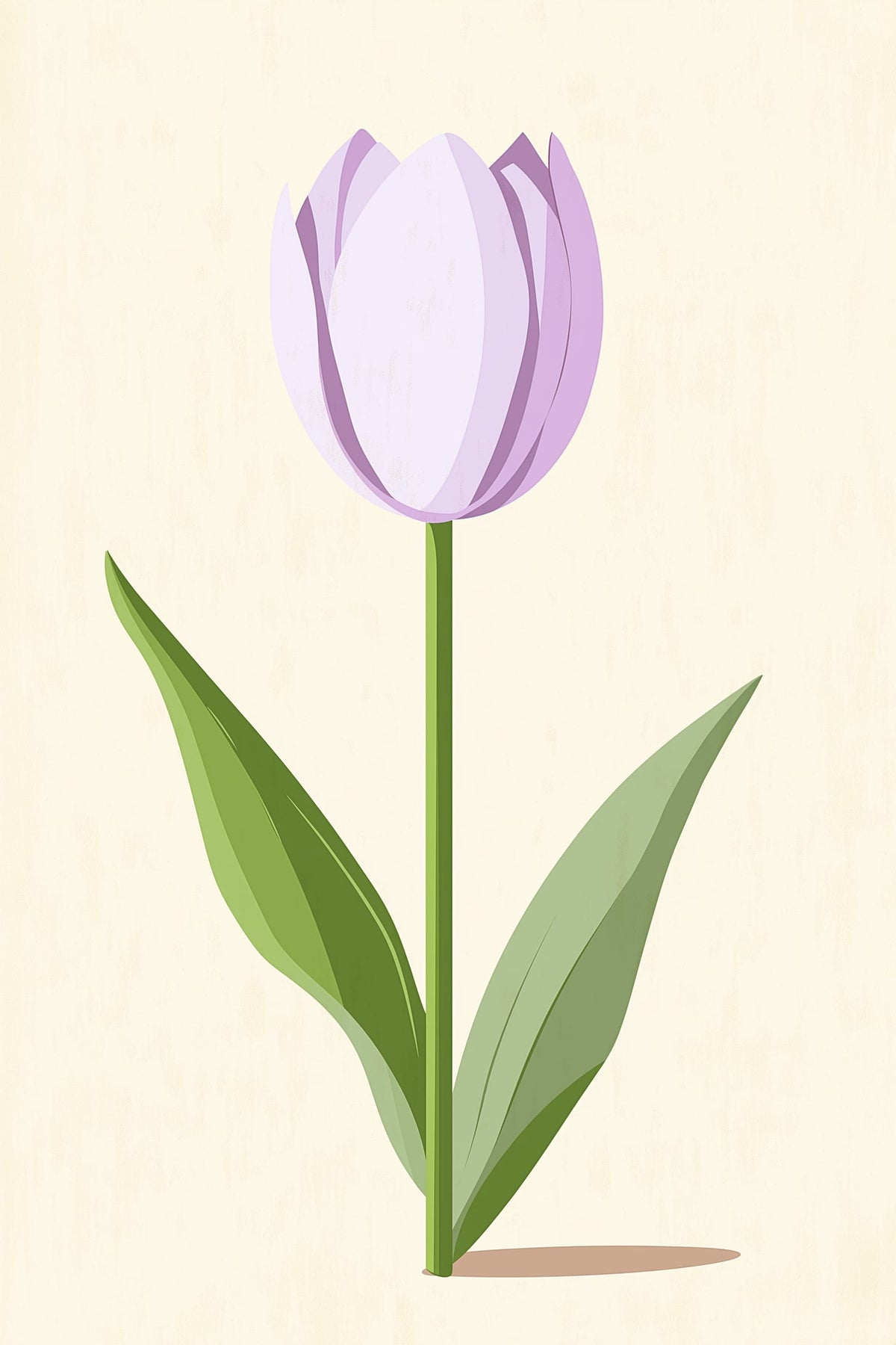 Lilac Tulip
