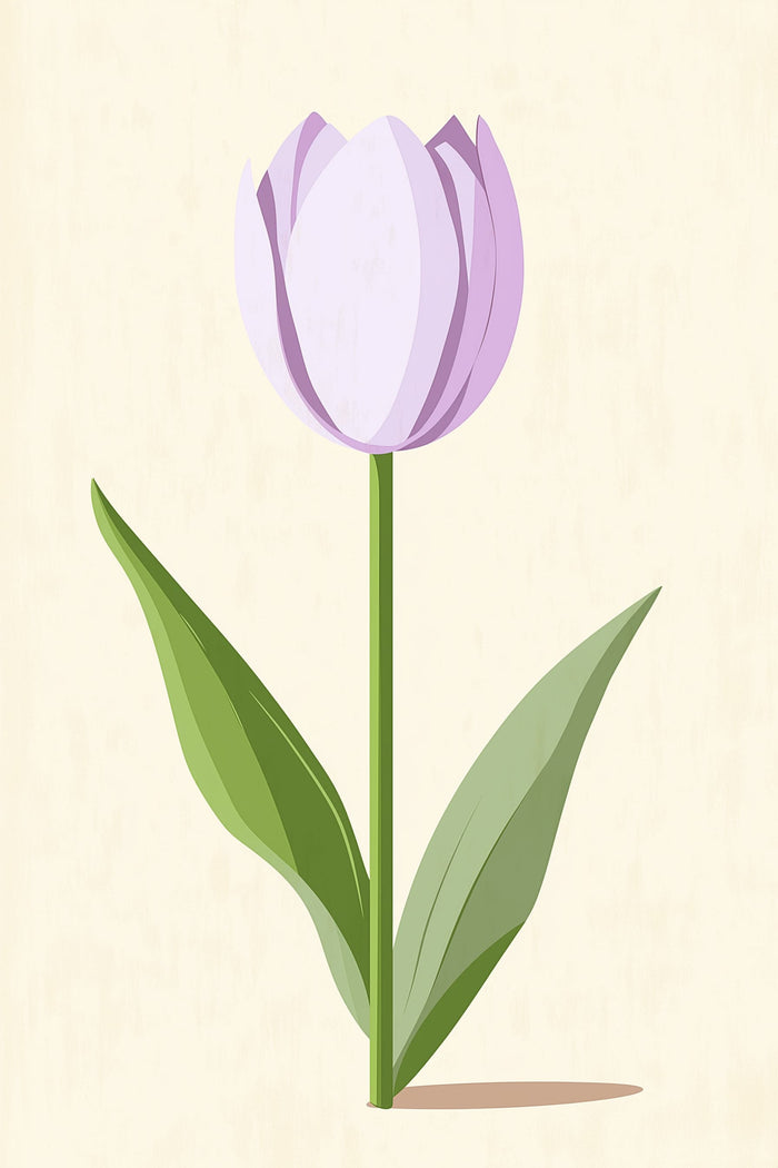 Lilac Tulip