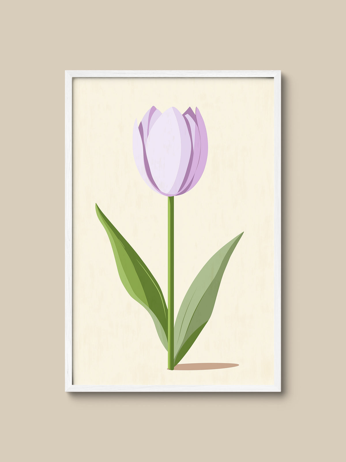 Lilac Tulip