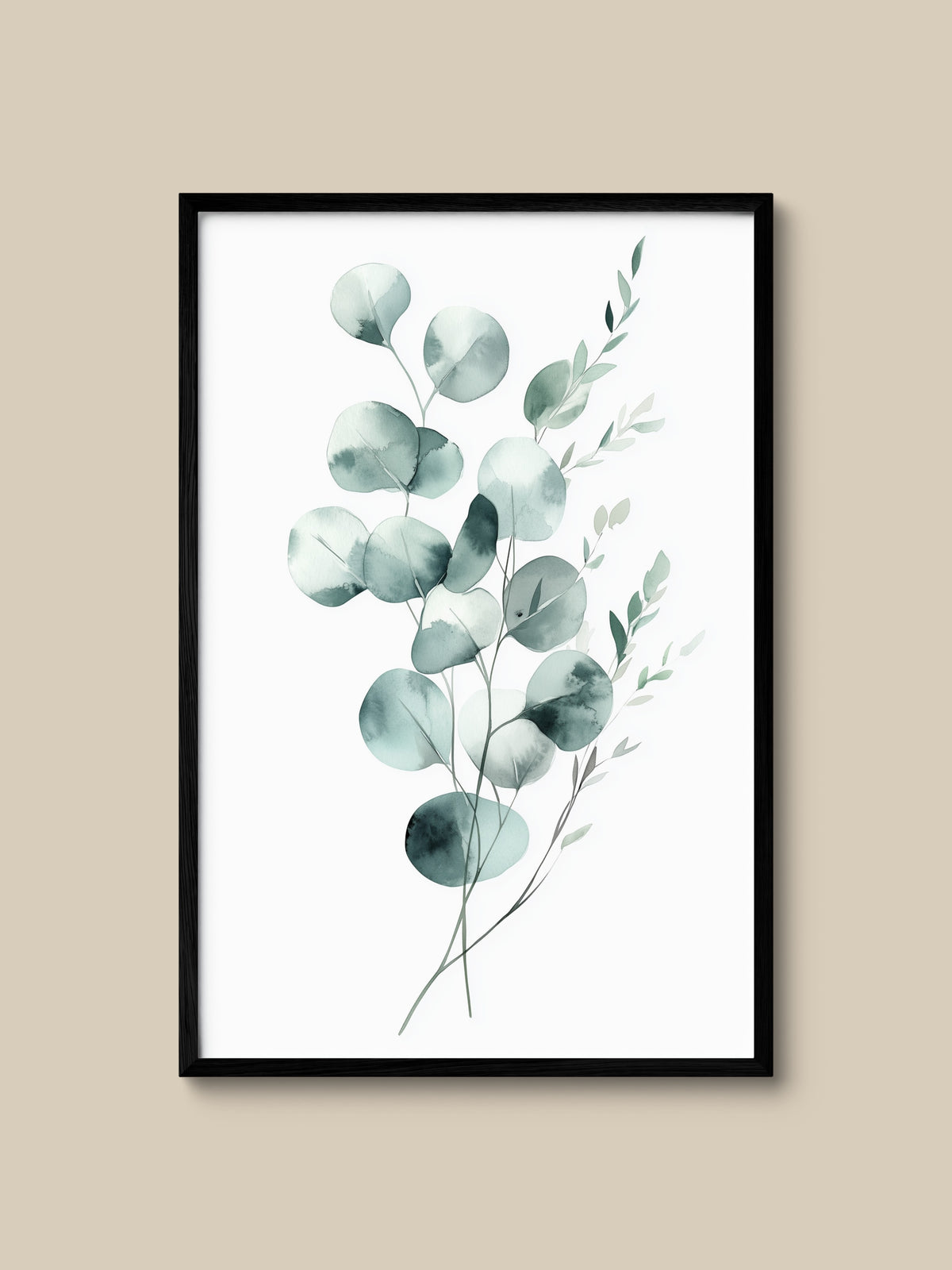 Silver Eucalyptus