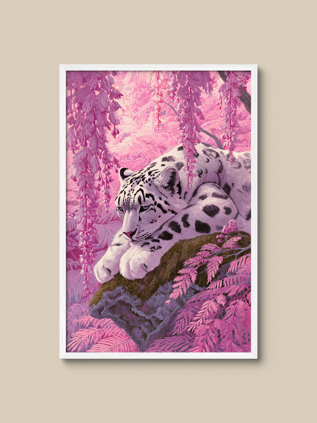 Snow Leopard in Pink