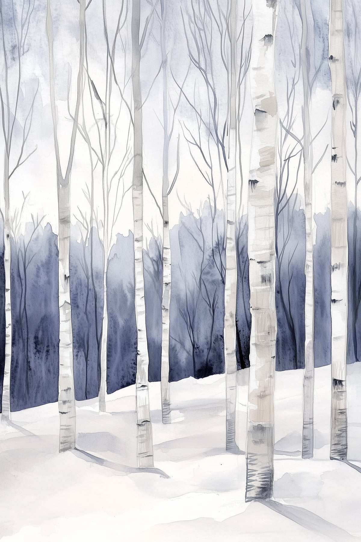 Winter Birch Grove