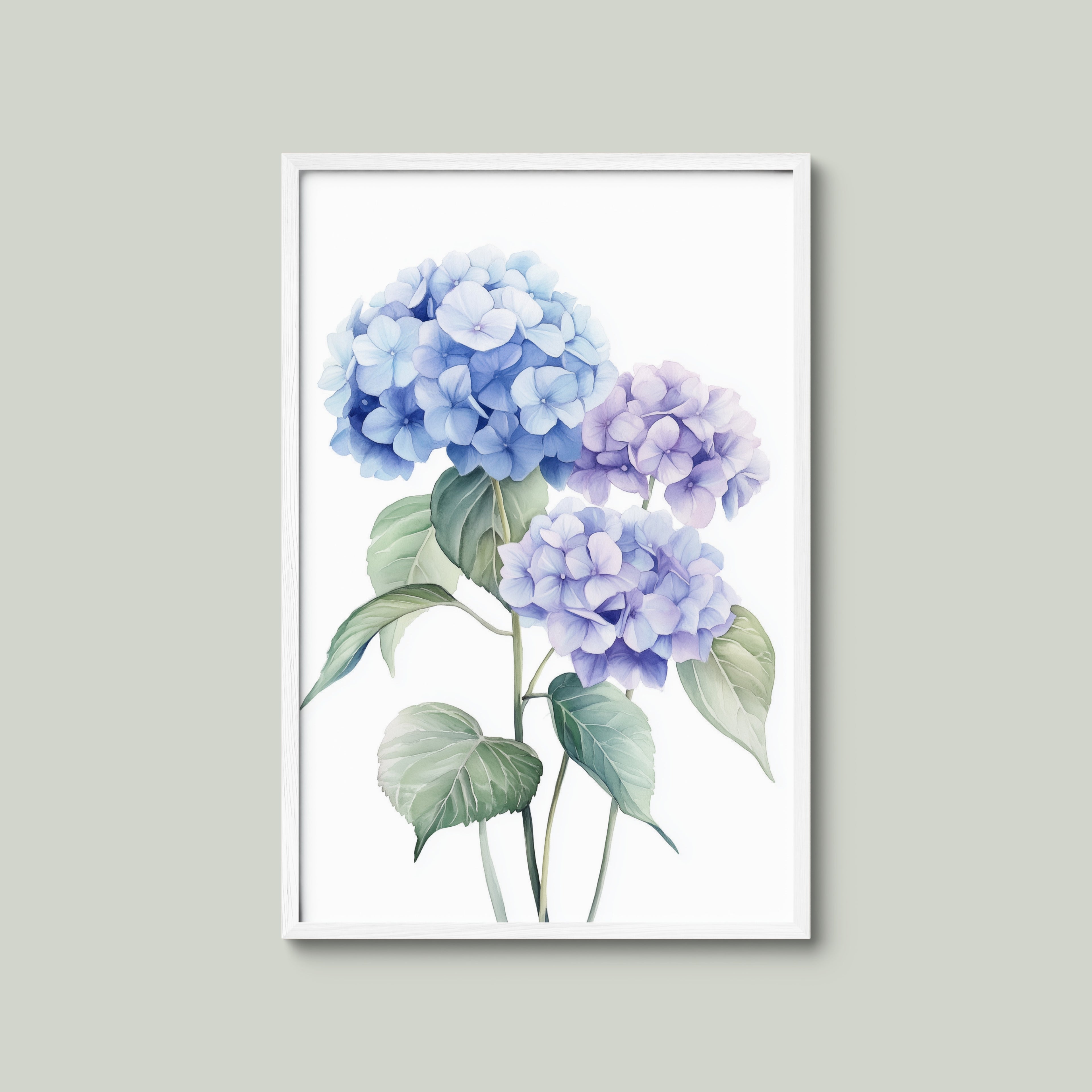 Blue Hydrangea Bloom