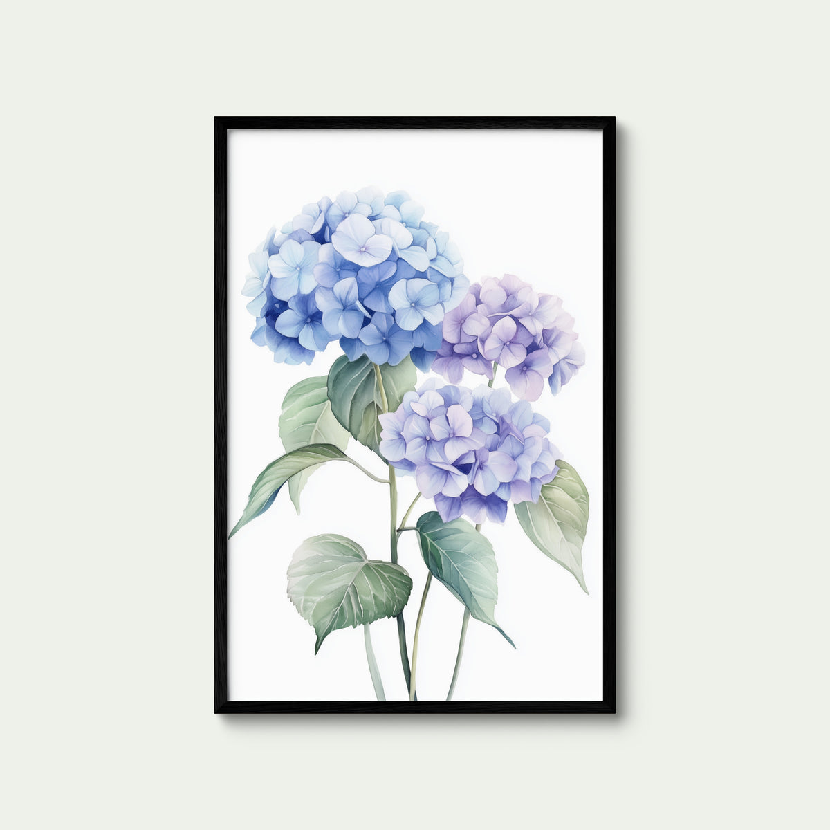 Blue Hydrangea Bloom