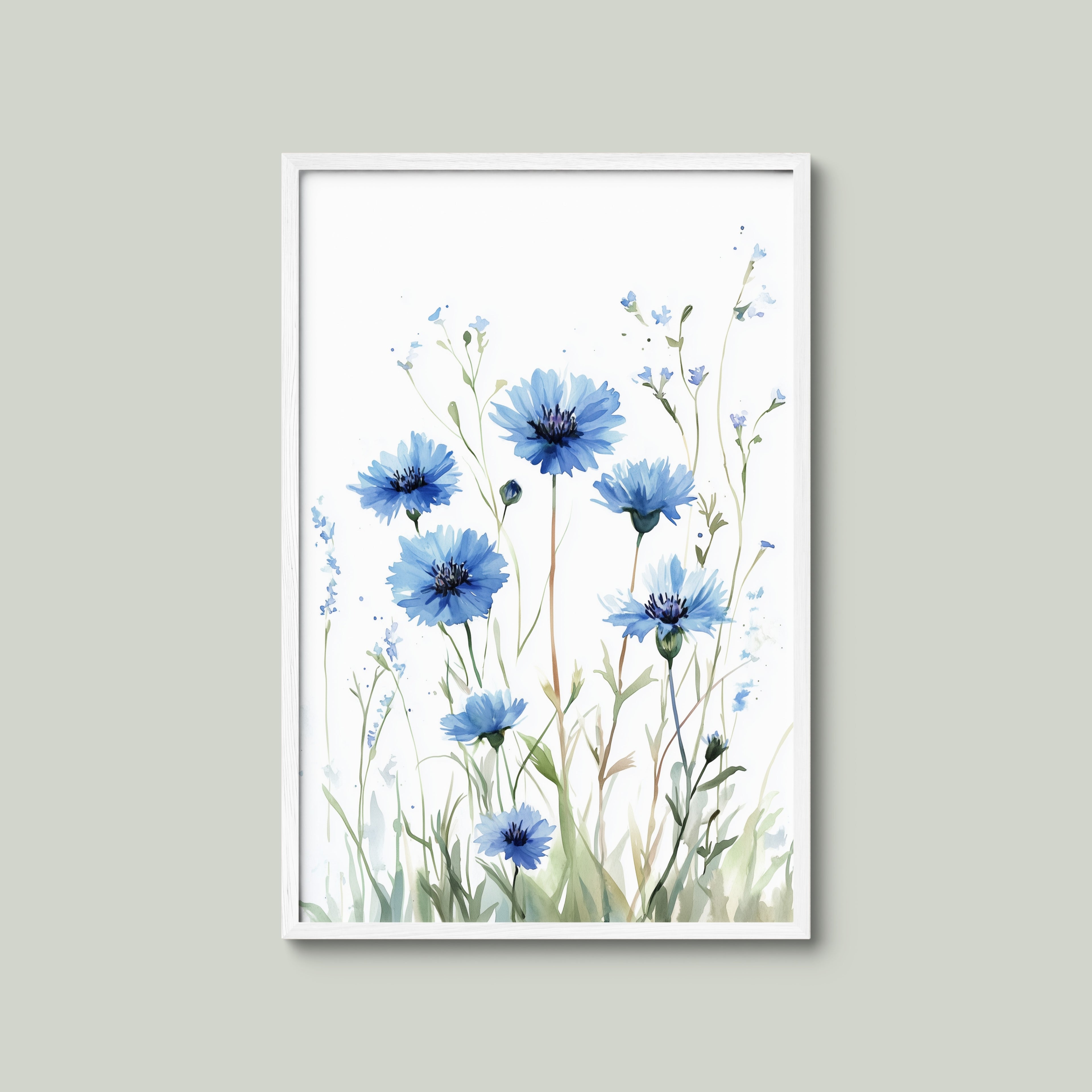 Cornflower Meadow