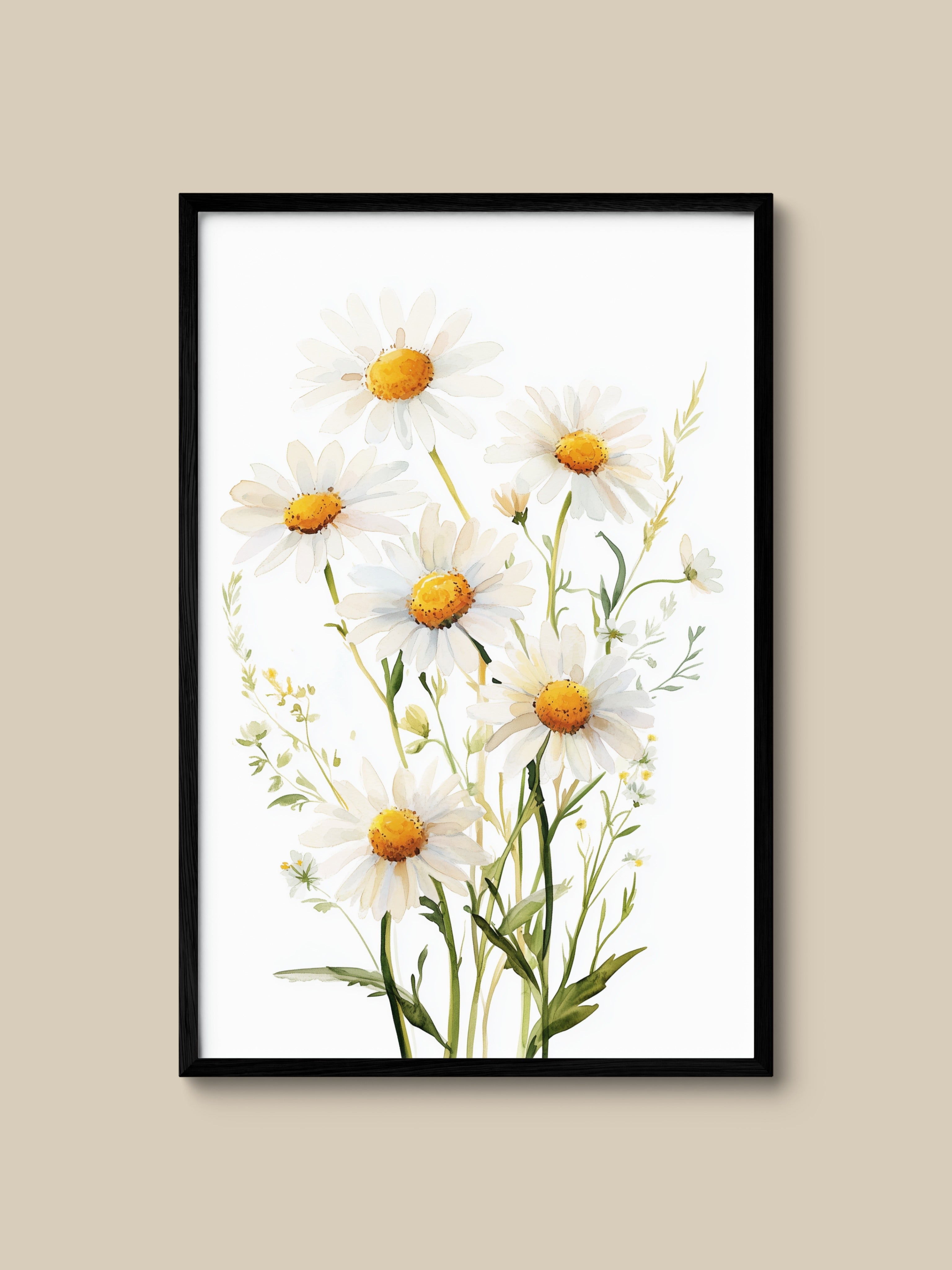Daisy Garden