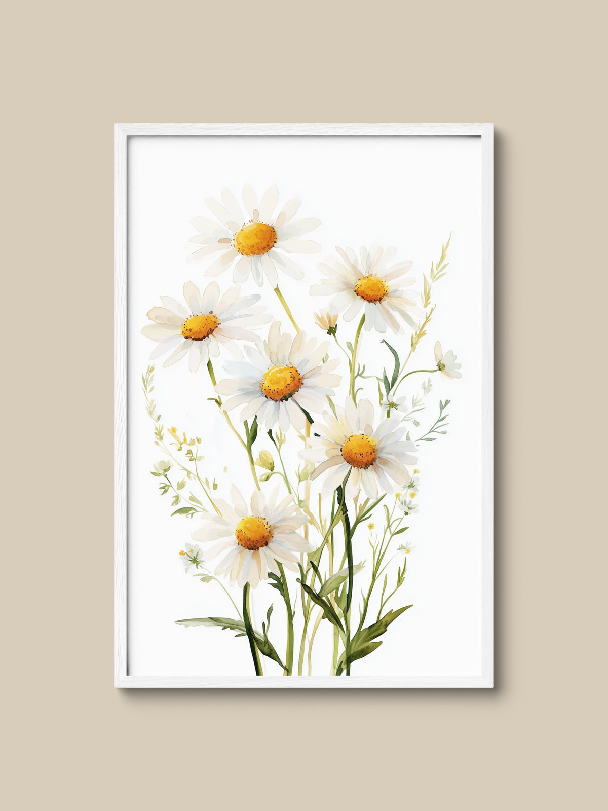Daisy Garden