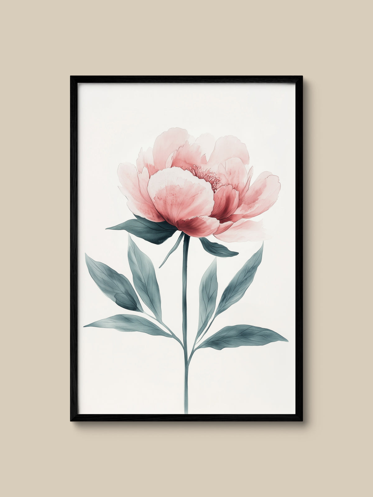 Pink Peony Bloom