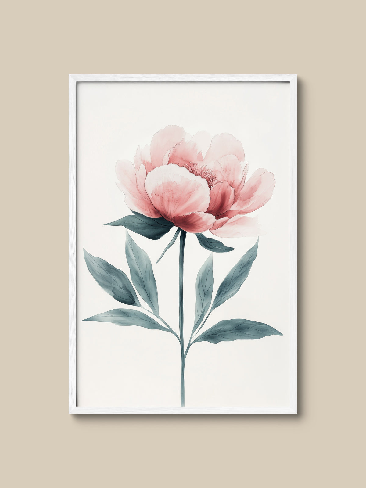 Pink Peony Bloom