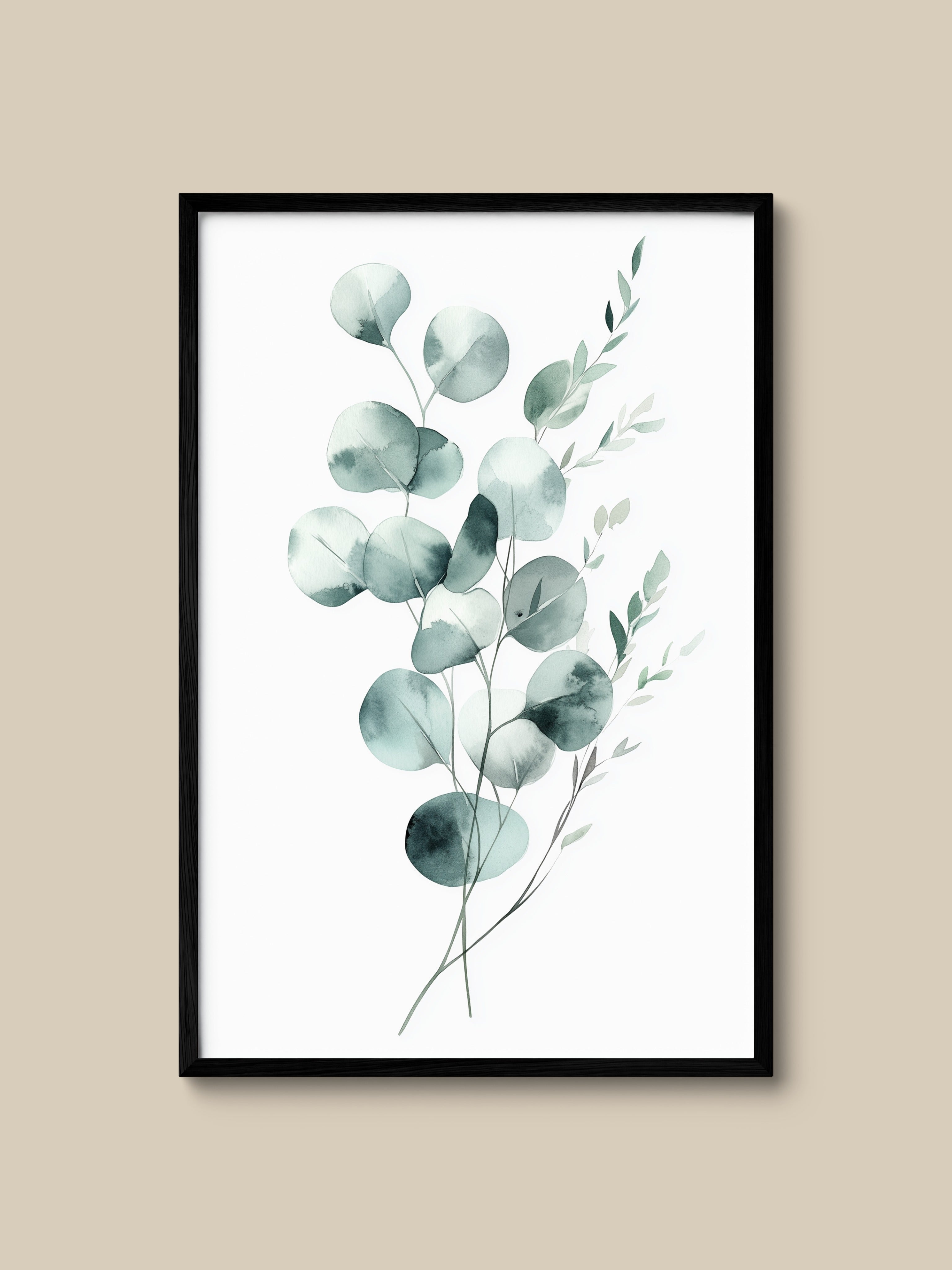 Silver Eucalyptus
