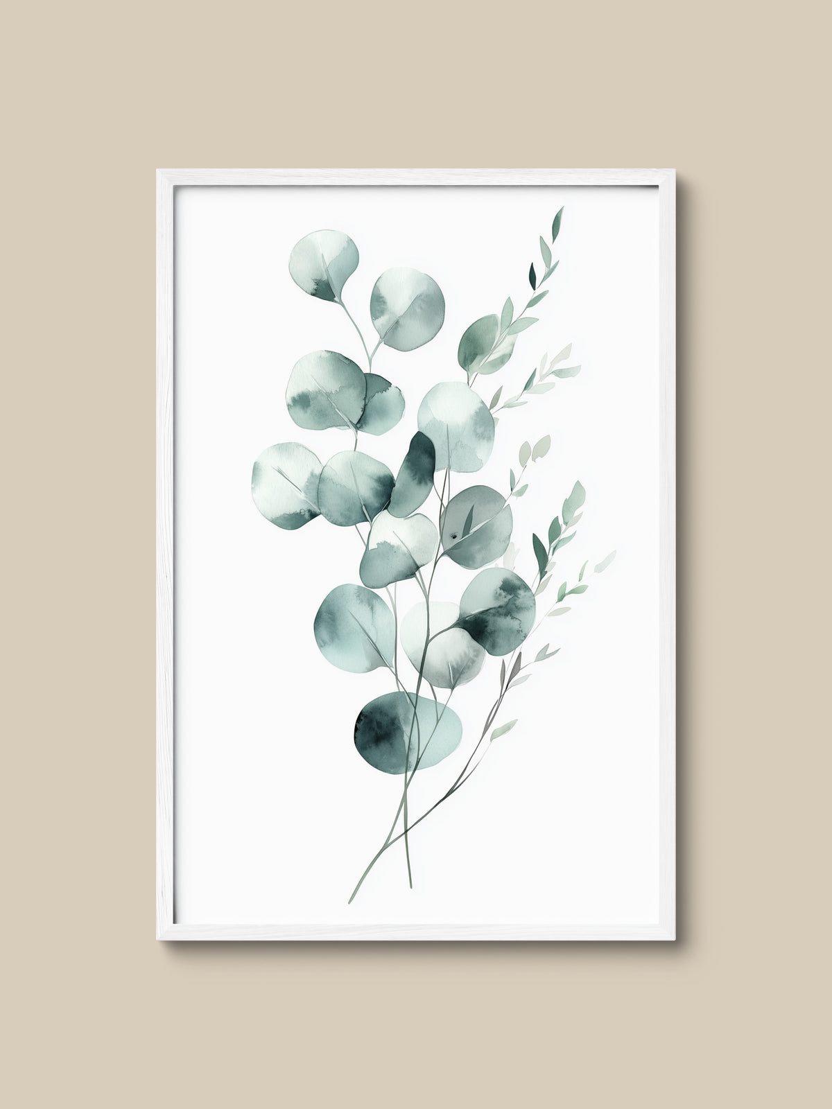 Silver Eucalyptus