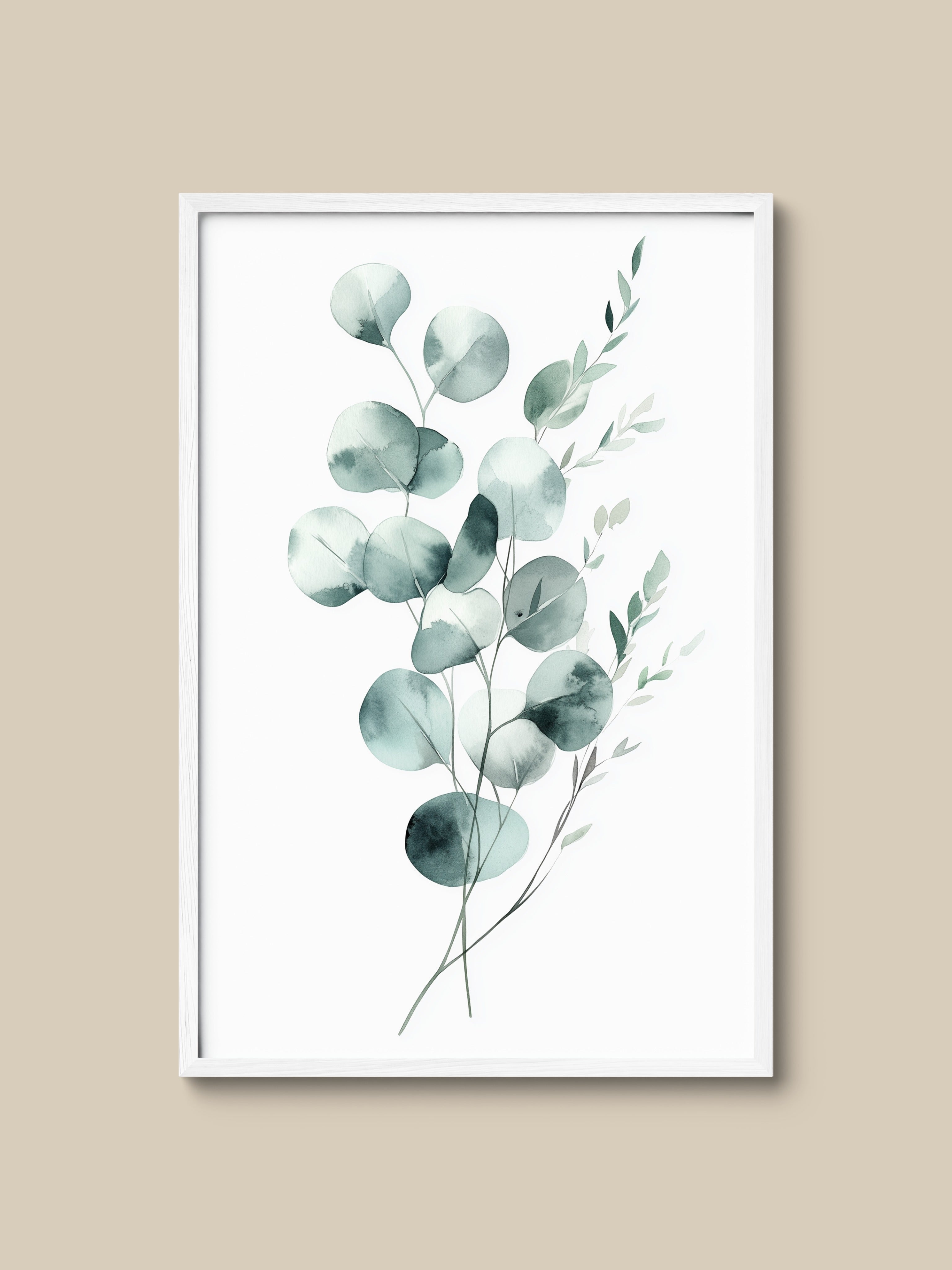 Silver Eucalyptus