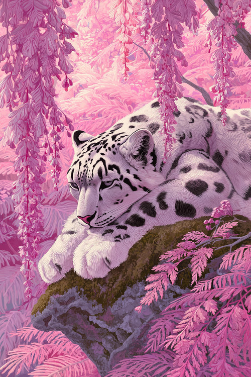 Snow Leopard in Pink