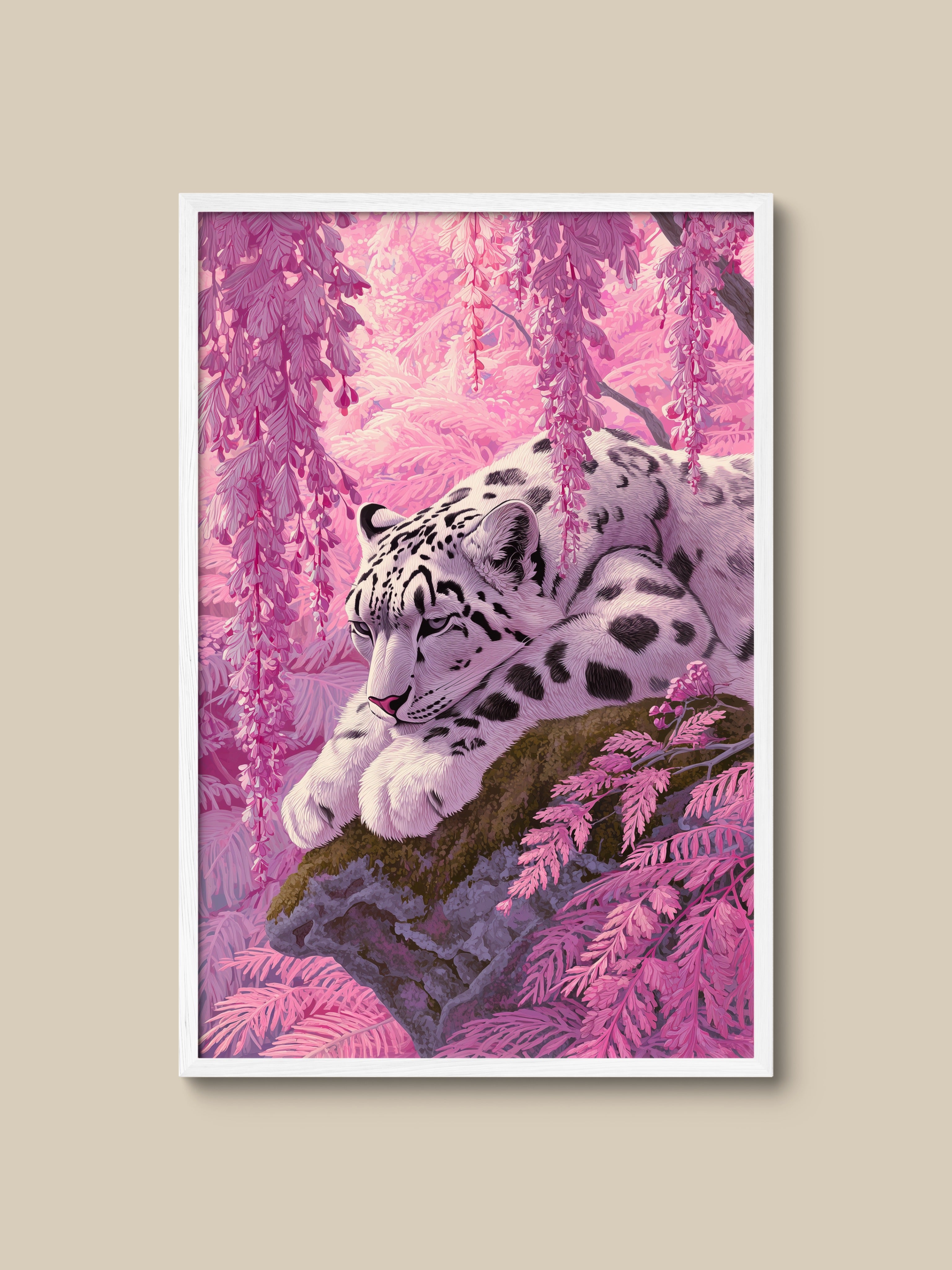 Snow Leopard in Pink