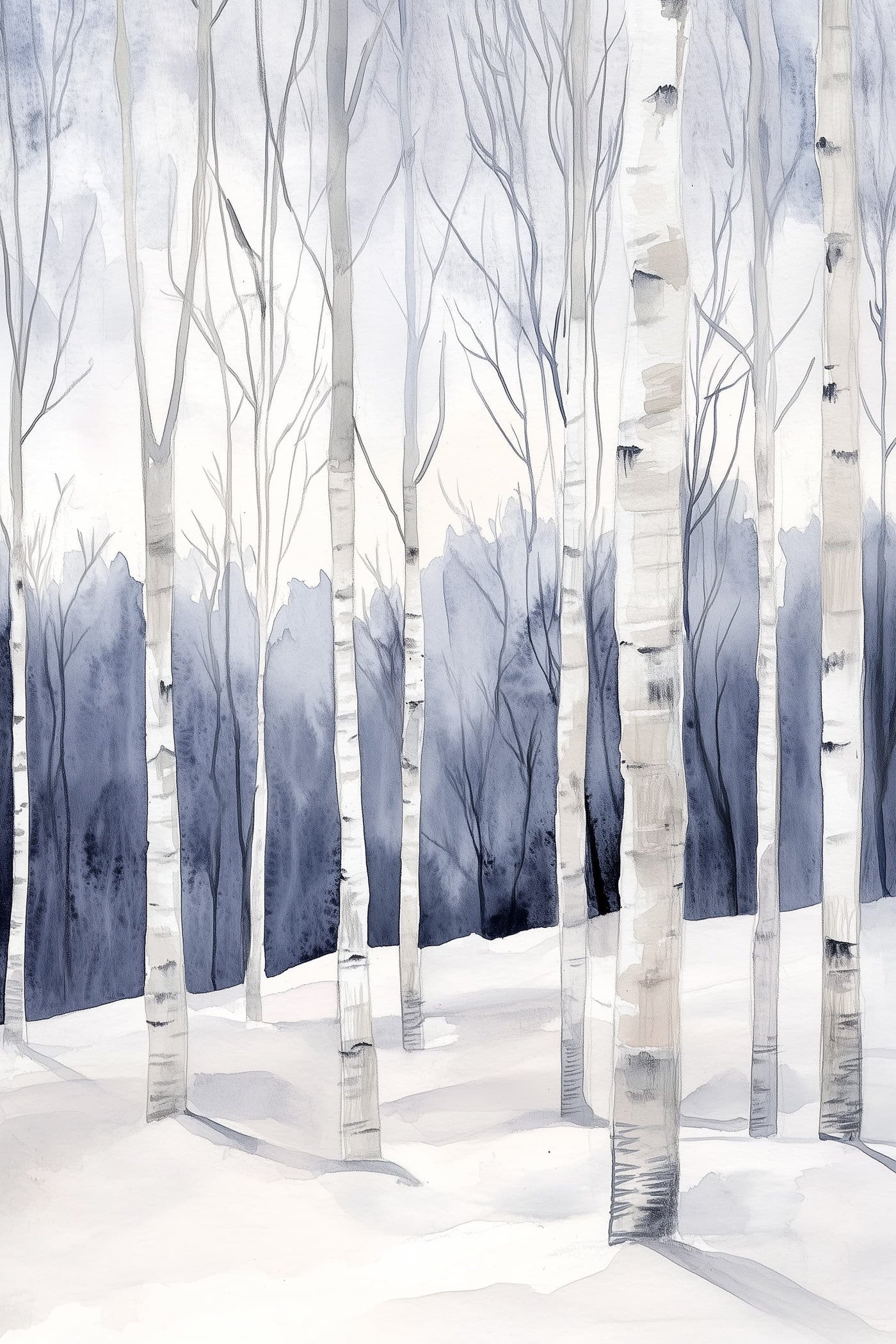 Winter Birch Grove