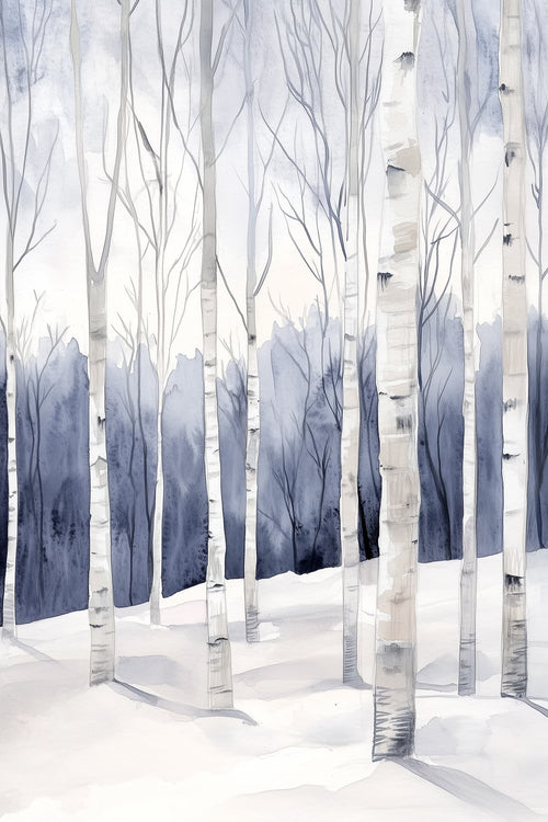 Winter Birch Grove