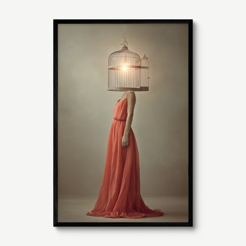 Birdcage Mind art print in a black frame