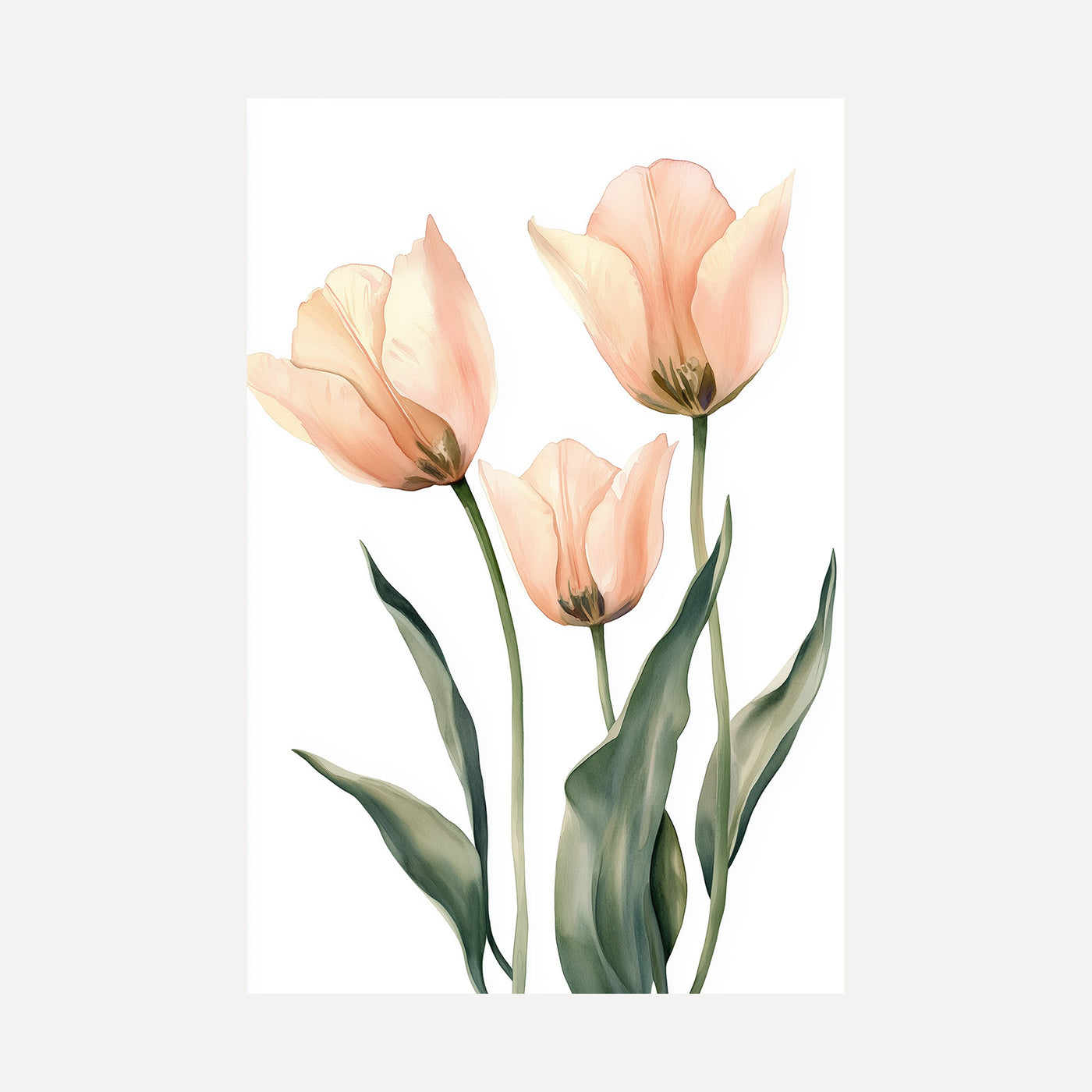 Blush Tulip Trio unframed art print