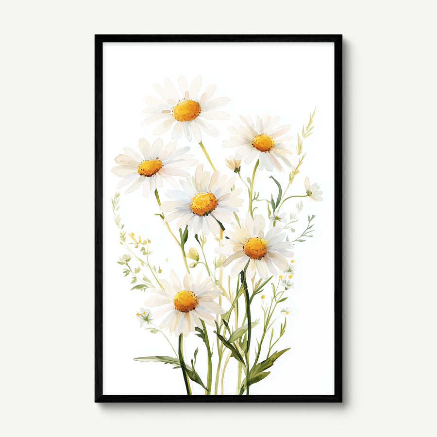 Daisy Garden art print in a black frame