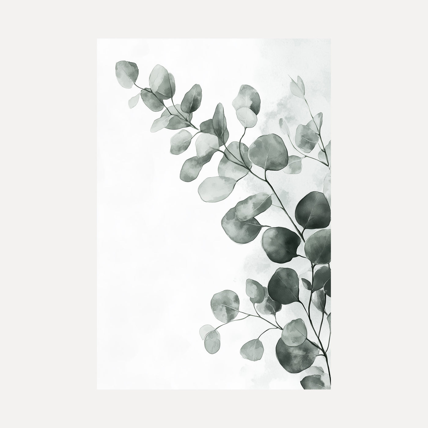 Eucalyptus Mist unframed art print