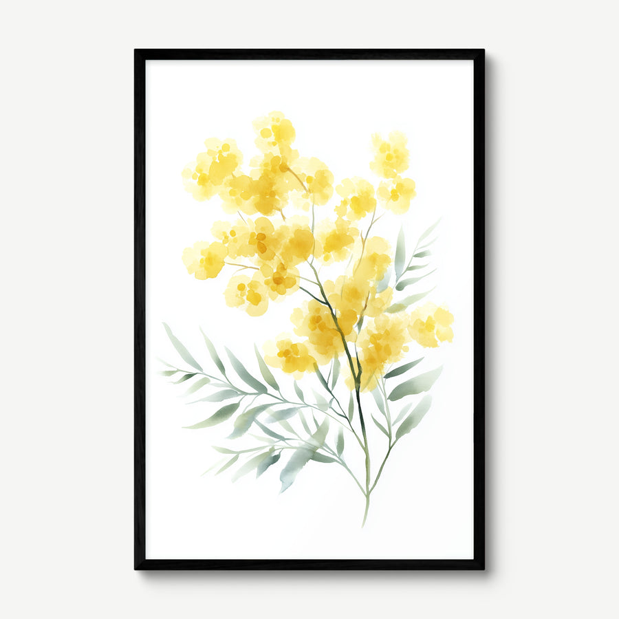 Golden Wattle Branch art print in a black frame