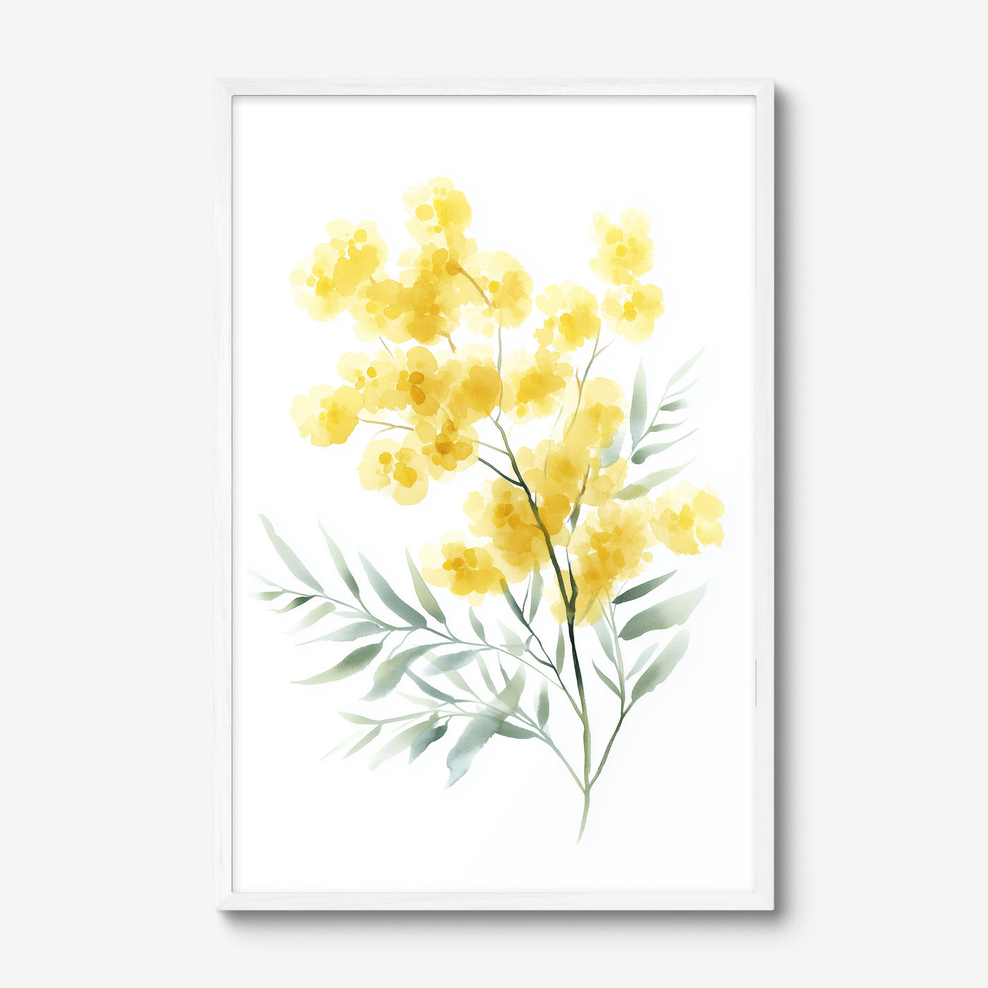 Golden Wattle Branch art print in a white frame