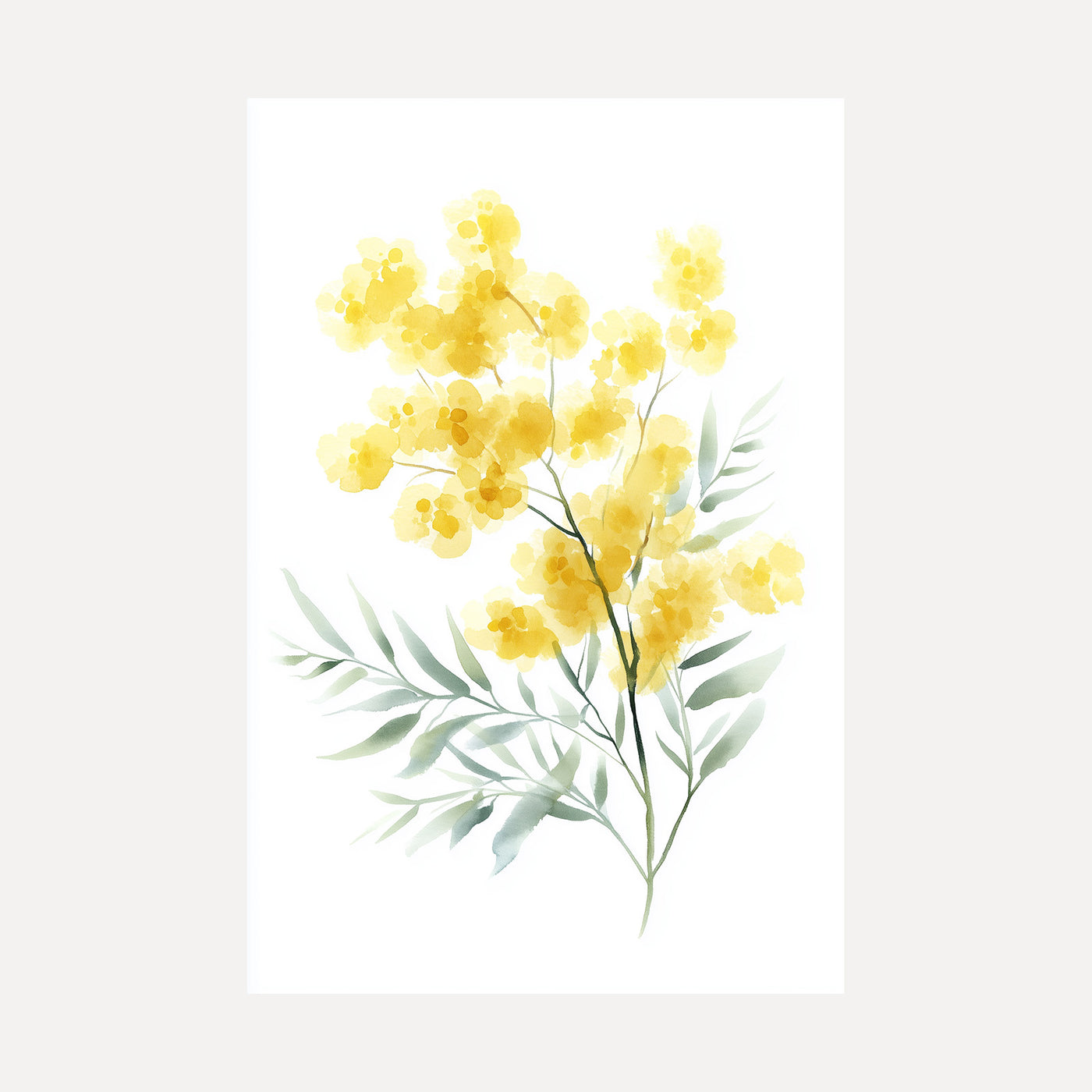 Golden Wattle Branch unframed art print
