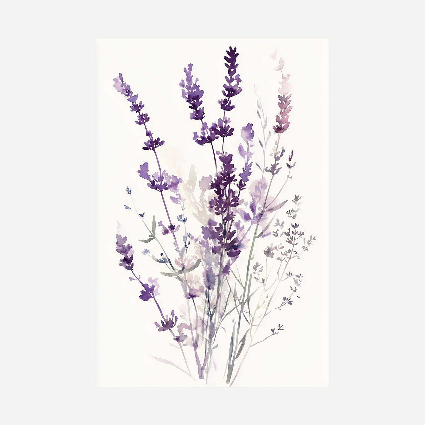 Lavender Watercolour unframed art print