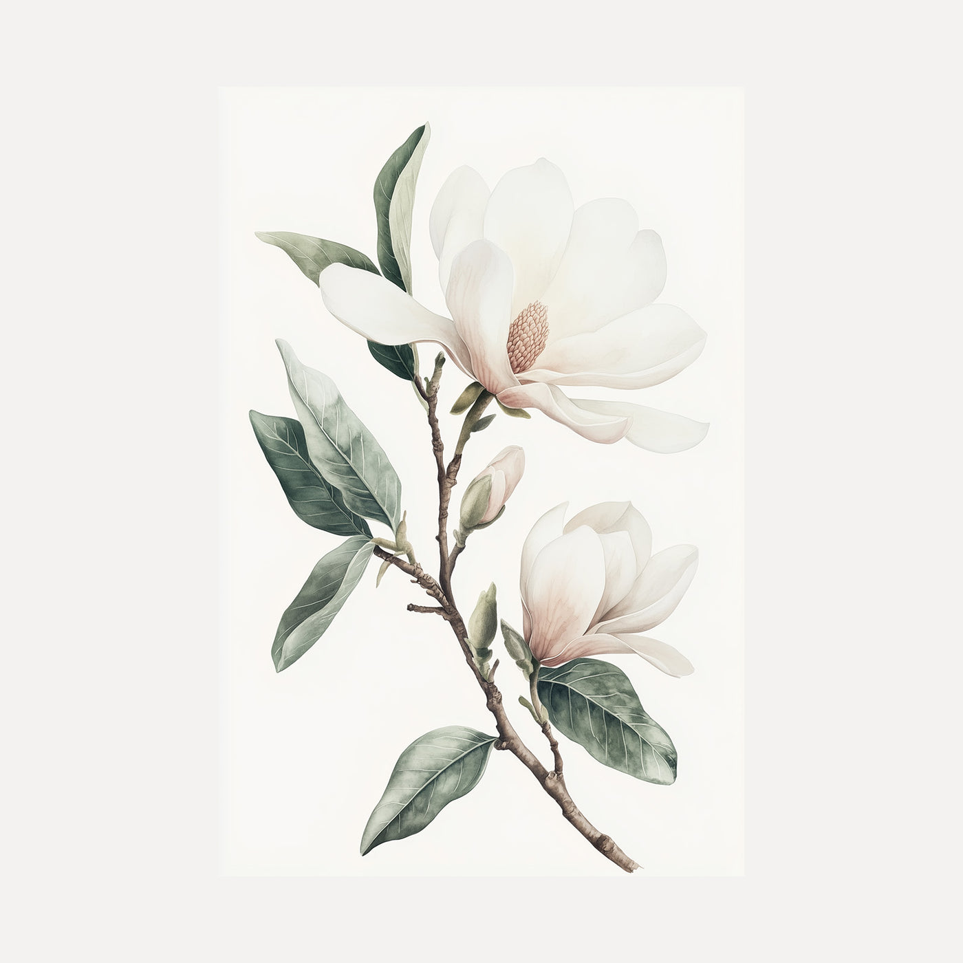 Magnolia Elegance unframed art print