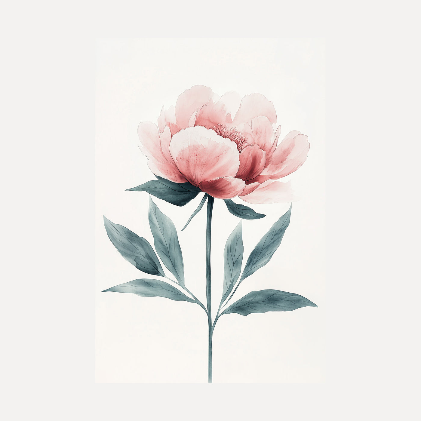 Pink Peony Bloom unframed art print