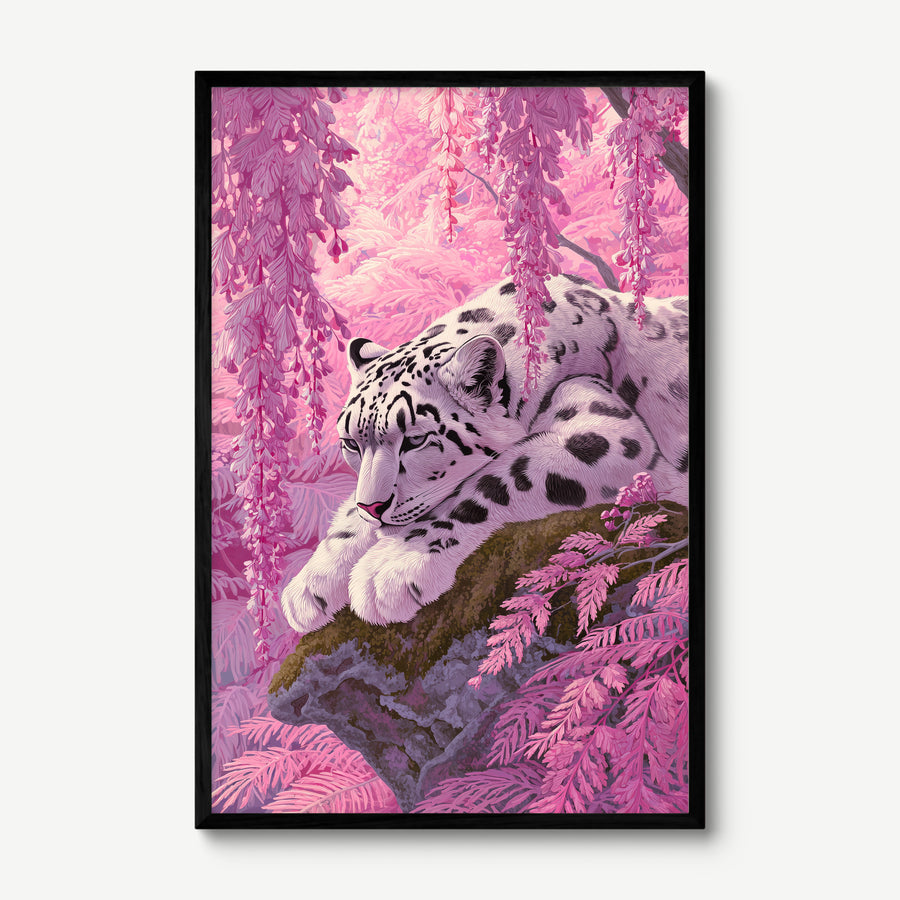 Snow Leopard in Pink art print in a black frame