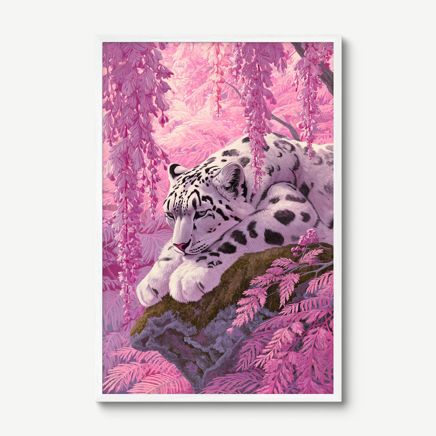 Snow Leopard in Pink art print in a white frame