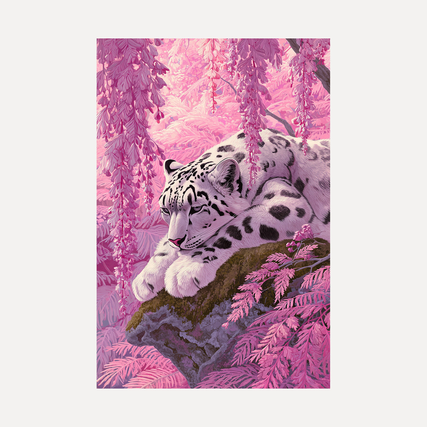 Snow Leopard in Pink unframed art print